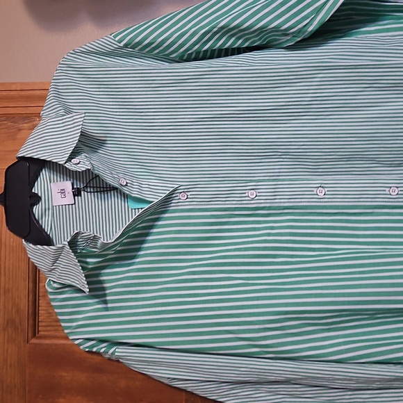 NWT CAbi Dad Shirt Green and White Striped Button Down Shirt - Picture 8 of 14